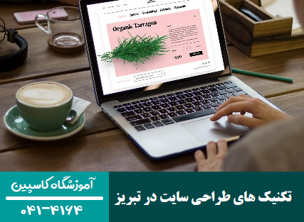 تکنیک های طراحی سایت در تبریز