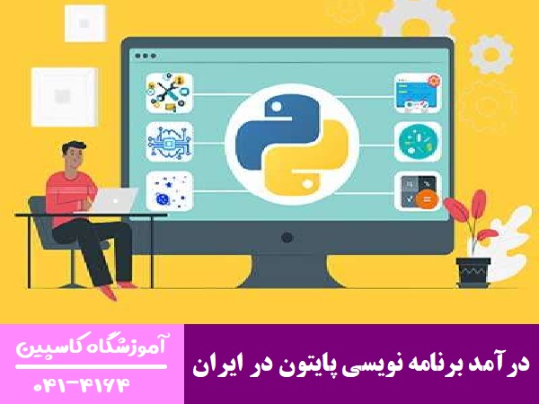 درآمد برنامه نویسی پایتون در ایران
