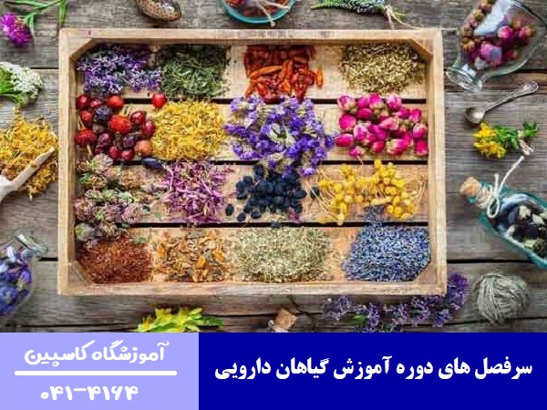 سرفصل های دوره آموزش گیاهان دارویی