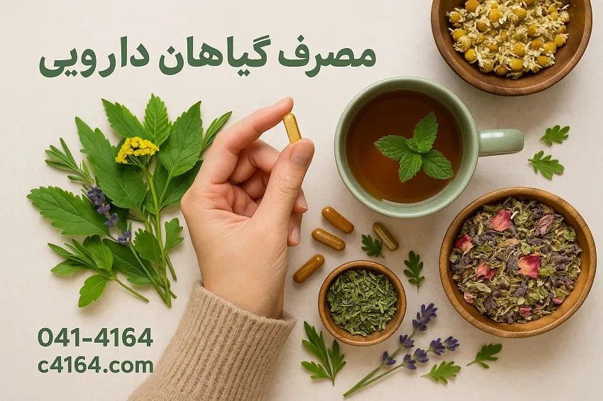 نکات کلیدی و مهم در مصرف گیاهان دارویی نکات کلیدی و مهم در مصرف گیاهان دارویی