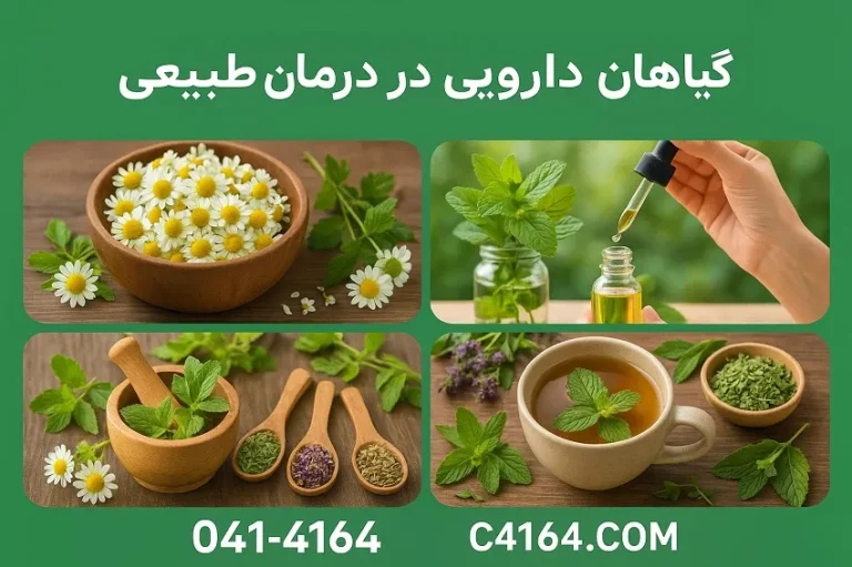 کاربرد های گیاهان دارویی در سلامتی و درمان طبیعی