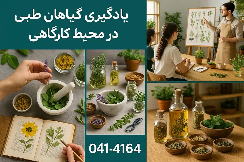 یادگیری گیاهان طبی در محیط کارگاهی آموزشگاه کاسپین تبریز